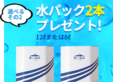 選べる その2 水パック2本 プレゼント! 12ℓまたは8ℓ